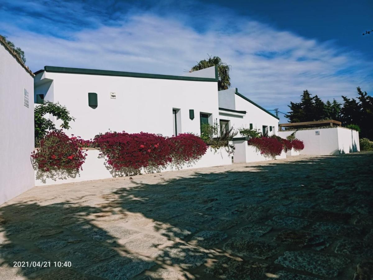 Casa La Palmera - Sólo Familias y Parejas Conil De La Frontera Exterior foto